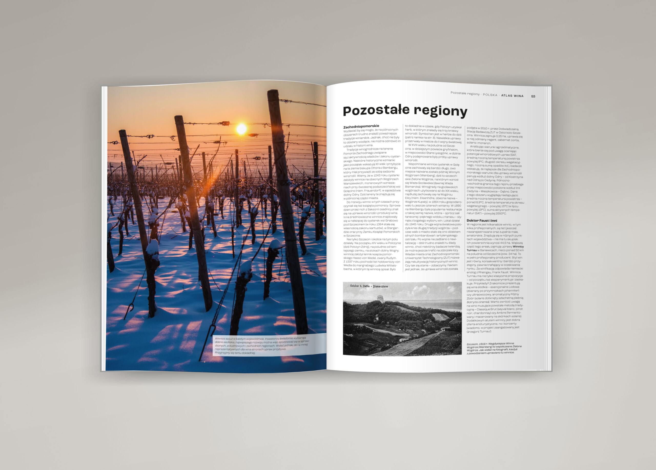 Winiarska Polska: atlas + mapa ZESTAW! - obrazek 2